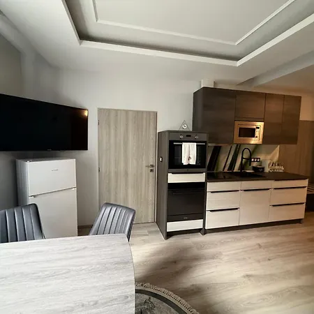 Laura Luxury Apartment Jachymov