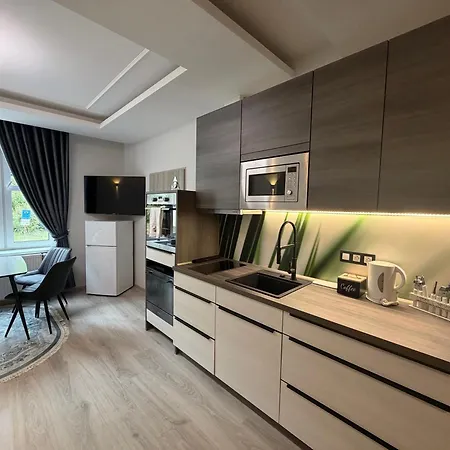 Laura Luxury Apartment Jachymov